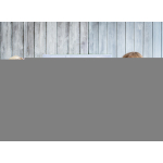 Dziecięcy polar John Deere