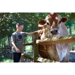 T-Shirt John Deere cinzenta