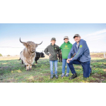 Camisola John Deere com capuz