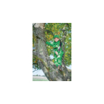 Tuta per bambini “Green”